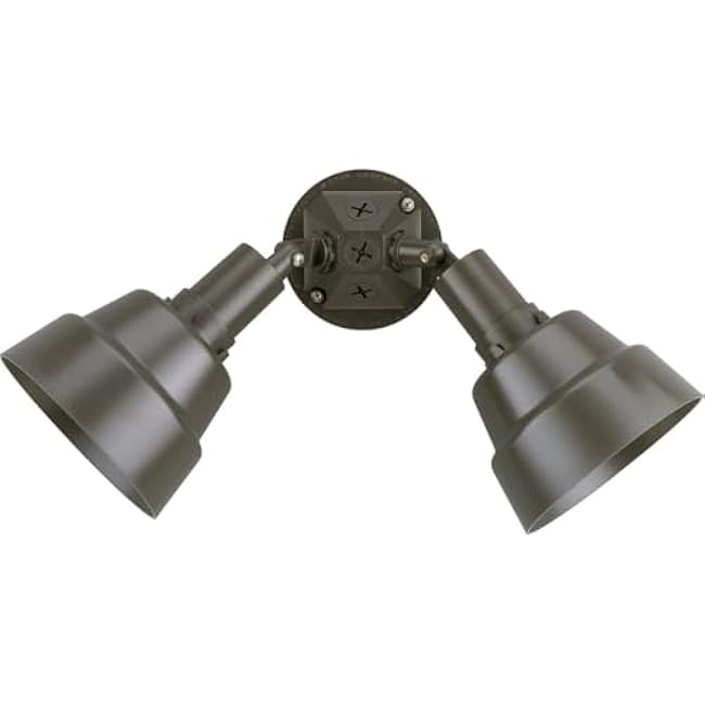Progress Lighting 2-Light Adjustable Swivel Par Lampholder Outdoor Wall Light, Outdoor, P5212-20, Antique Bronze