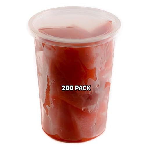 Can i bring large liquids in my checked luggage 200 Count Deli Food Storage Containers
