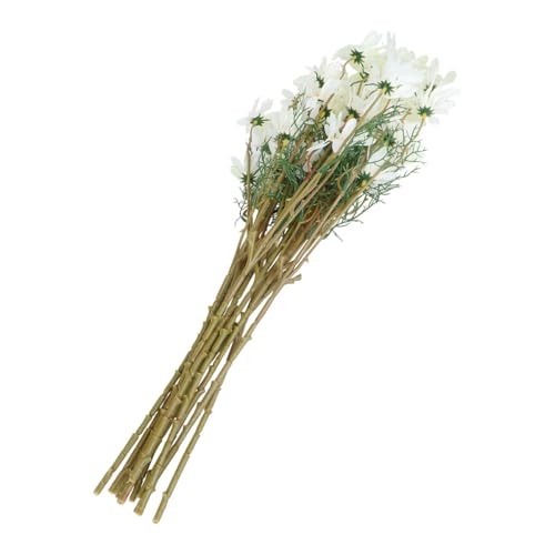 Baluue 12 AVNV~[Vԑ zCgחeegze t[AWgpCeA Be