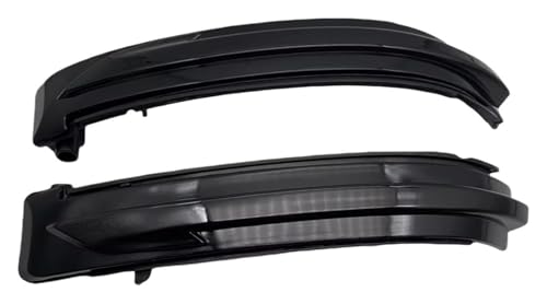 Luz LED dinámica espejo lateral piloto intermitente para Pathfinder y Terra
