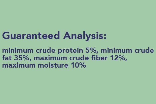 BestNest Wildlife Sciences Peanut Blend Suet Cakes, 12 Pack | 11 oz Bird Food Blocks with Peanuts, Corn & Millet | High-Energy Suet for Woodpeckers, Bluebirds & More | Fits Standard Suet Feeders