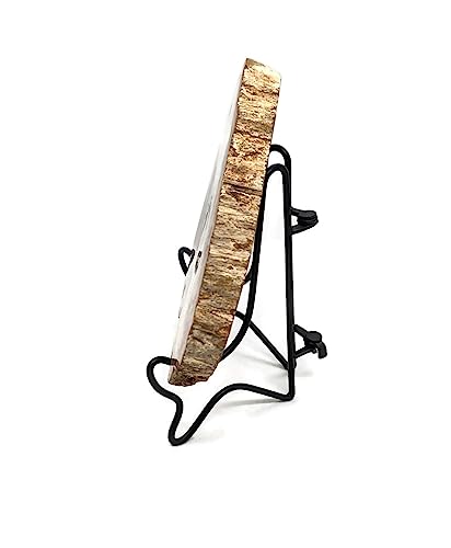 Image of Petrified Wood Slab with Stand - 4.5 to 5 inch - Natural Petrified Wood Polished on Both Sides