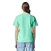 Comfort Colors Adult Short Sleeve Tee, Style G1717, Island Reef (1-pack), Large