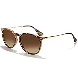 CHBP Polarized Sunglasses for Women Men - Trendy 2025 Vintage Classic Retro Round Mirrored Lens Designer Style