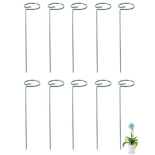 FONDOTIN 10 Stück Teiliges Pflanzengitter für Kletterpflanzen Robuste Eisenrankhilfe für Garten Balkon und Terrasse zur Unterstützung von Topfpflanzen und Blühpflanzen