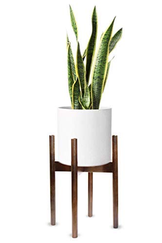 Soporte de Plantas de Jardín de Casas Se adapta a una maceta para macetas de 10 pulgadas, maceta de madera, para exteriores, interior - Modern Home Decor Garden Gift (Pot / Plant Not Included)