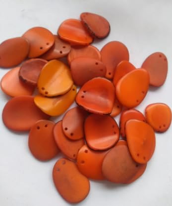 20 Orange Slices Curved Nail Shape from Colombia Rainforest Top drilled Two Holes Size: 2-2.5 x 2-2.5 cm R-1054