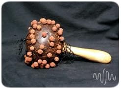 Beaded Coconut Maraca