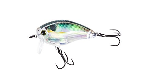 Yo-Zuri 3DR Wake Bait Floating Lure, 2', Real Gizzard Shad