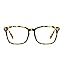 (04)|yellowtortoise