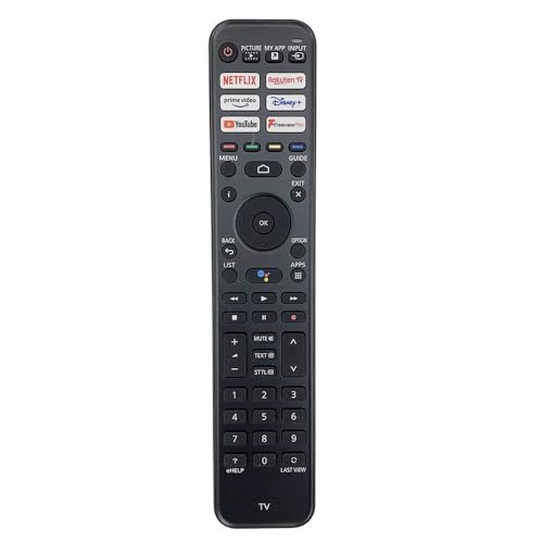 Télécommande vocale Panasonic N2QBYA000052 pour soirées cinéma R3PA265