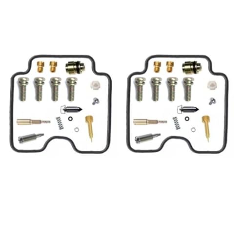 Carburateur kit réparation avec diaphragme pour Suzuki GS500 GS500E de 2001 à 2011
