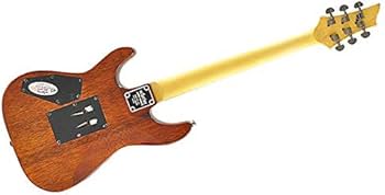 Amazon | SCHECTER (シェクター) エレキギター OMEN EXTREME-6 FR VSB