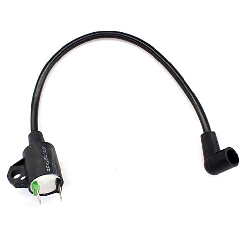 AISEN Bobine d'allumage pour générateur Güde GSE950 Cover