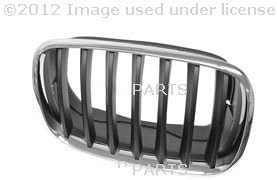 BMW 51-13-7-157-688 Grille, Front, Right