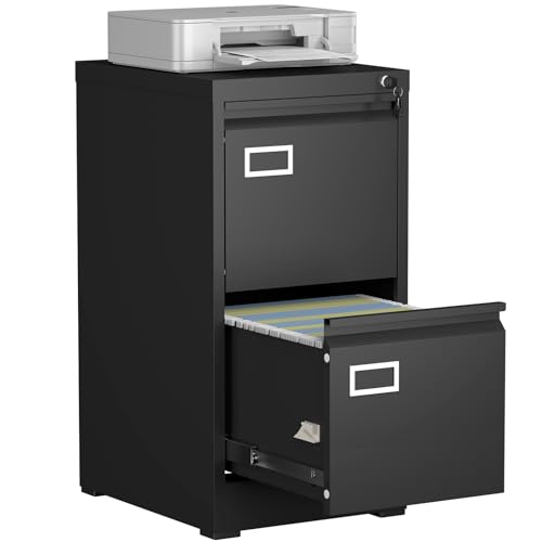 IRONFFICE Filing Cabinet,2 Drawer File Cabinet with Lock,Locking File Cabinets for Home Office,Small Filing Cabinet for Letters/Legal/A4,Assembly Required,Black