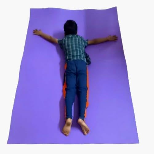 Long Exercise Mat for Gym Workout, 6mm Thick, 4x6 Feet, Purple, Stain Resistant (B0D4KB43C8) Amazon Price History, Amazon Price Tracker