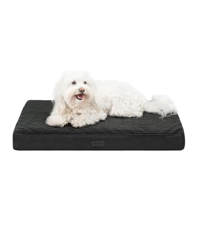 lionto Cama ortopédica para perros, 76 x 51 x 8 cm, cojín para perros resistente con suave felpa, funda extraíble y lavable, impermeable, adecuada para perros pequeños y grandes y gatos, color negro