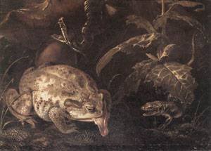 Peinture à l'huile Still Life with Insects and Amphibians 1662
