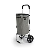 BESCH Carrito de Compra Plegable Aluminio con Bolsa Térmica en Interior Impermeable con 2 Ruedas Desmontable - Carro del Mercado Capacidad 50 litros para Alimentos 96x35x24cm Gris