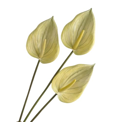 Corkwaw 3Pcs Artificial Anthurium Lily Flowers