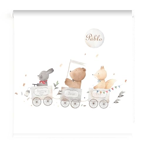 Estores infantiles Personalizado niño. Estores infantiles niño. Estores infantiles dibujos Trenes. Estores infantiles niño habitacion. Cortina y Estores infantiles translucido. (60x60)