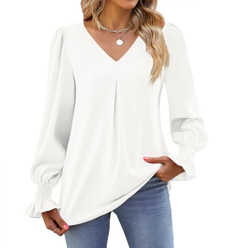 Funlingo Women's 2025 Long Sleeve Tops Dressy Casual V Neck Tunic Shirts Loose Chiffon Work Blouse3