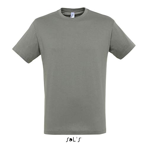 SOLS Sol's Regent Men's T-Shirt