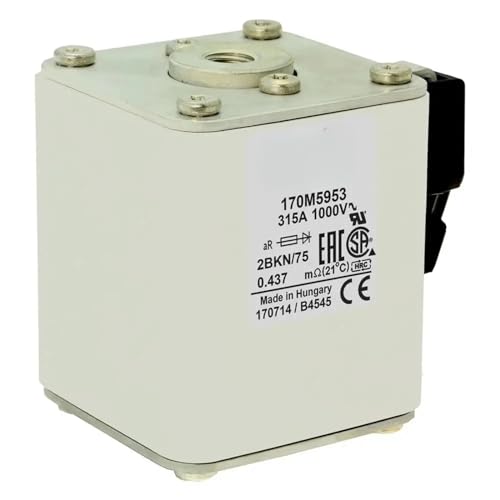 Fusible 170M5924 résout les surcharges de taille 29