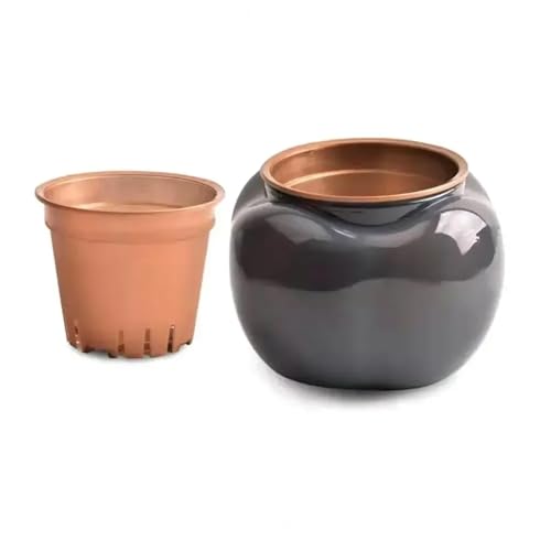 Maceta Maceta hidropónica for plantas, maceta con autorriego, maceta for interior, minijarrón for suculentas, jarrón de mesa, decoración for el hogar, oficina y bonsái con autorriego Salón Interior(Gr