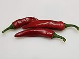 Piment D Espelette Pepper 10+ seeds
