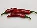Piment D Espelette Pepper 10+ seeds