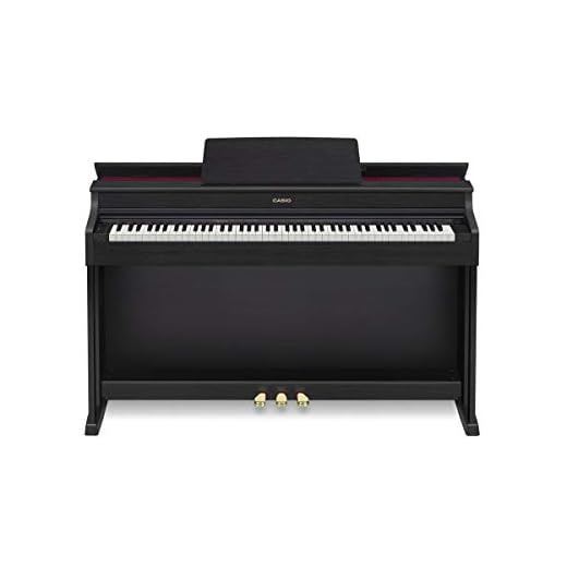 CASIO - CASIO AP-470BK - DS54192