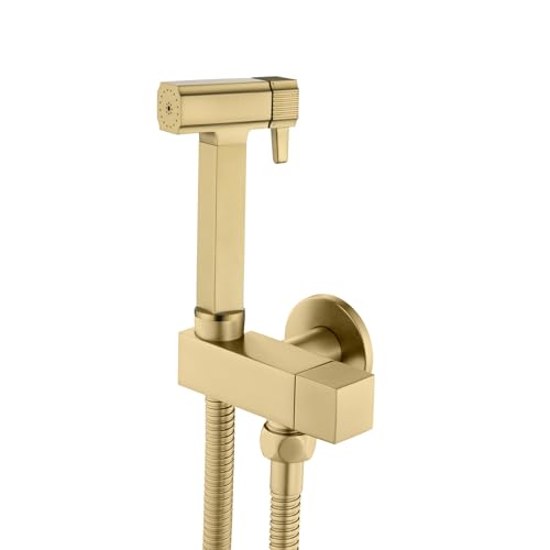 Pulvérisateur de Bidet à Main, Kit Douchette WC 2 Fonction, Mural Laiton Douchette à Main Bidet, Pulvérisateur de Toilette avec 1.2M Flexible, Toilette Bidet Spray pour Hygiène Personnelle
