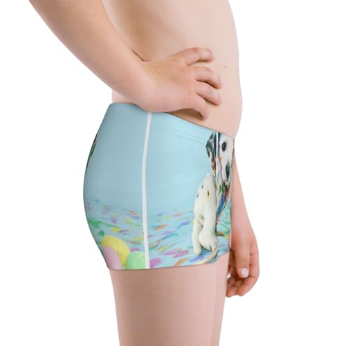 Boys' Cotton Boxer Brief Soft Underwear-A Funny Little Dalmatian Puppy2