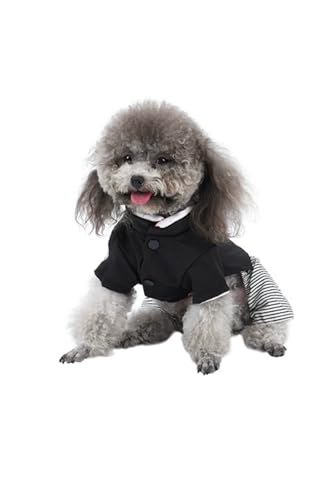 YFFSFDC ���̕� ���� �� �a�� ��t �����^�� ���^�� �L�� ���� �H�D �� ���� �y�b�g�� ���j�� ���Ղ� ������ ���܎O ������ �L�O�B�e ������ �h�b�O�� ��