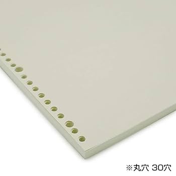 Amazon.co.jp: コレクト 2025年 手帳・ダイアリー 日記リーフ