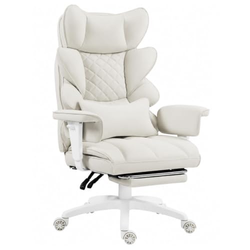 Dowinx Big and Tall Office Chair