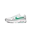 Summit White/Stadium Green/Photon Dust