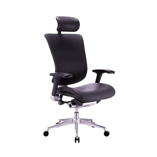 Dreem Genuine Leather Ergonomic Office Chair - Lumbar Support, Mo...