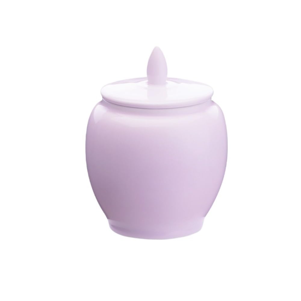 SDdPulse Tanque de almacenamiento de té, contenedor de almacenamiento de té de cerámica, tarro de almacenamiento de té para el hogar, tarro portátil de viaje, pequeño tarro sellado, juego de té, tarro