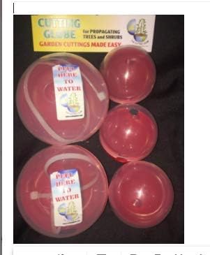CUTTING GLOBE PROPAGATORS 5 PACK X3 Grow Roots on Plant Cuttings in as few as 8 weeks - Propagate Trees, Shrubs, Roses, Climbers & More - Add Rooting Hormone, Roots Grow on Growing Plant