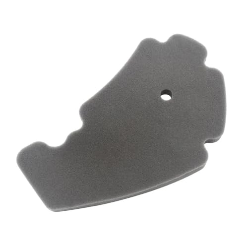 Filtre à air contre la perte de puissance Nexus 125 250 300