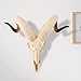 Ram Skull Taxidermy Animal, 16.5 Inch Long Horn Skull Animal Head Wall Decor, Resin Animal Skull Sculpture, Realistic Faux Taxidermy Halloween Skull, Ram/Sheep/Goat Horn Skull