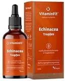 VitaminFit Echinacea-Tropfen Nahrungsergänzungsmittel - Unterstützt das Immunsystem - Glutenfrei - Zuckerfrei - Laktosefrei - Flüssig - Für Erwachsene, Kinder und Säuglinge - 100% Vegan - 50 ml