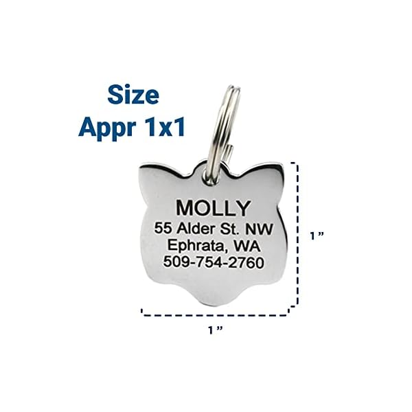 GoTags Pet ID Personalized Cat & Mouse Shape Pet ID Tags. Includes up to 4 Lines of Custom Engraved Text – Stainless Steel, Kitty Face GoTags Pet ID Personalized Cat & Mouse Shape Pet ID Tags. Includes up to 4 Lines of Custom Engraved Text – Stainless Steel, Kitty Face