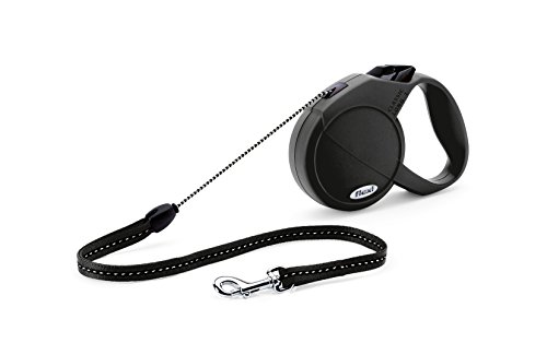flexi explore retractable dog leash large 26 ft
