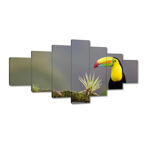 Toile imprimée grand format toucan pour créer une ambiance jungle chic
