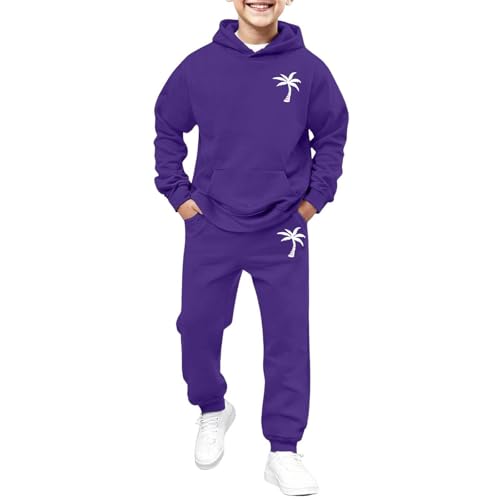 Ensemble t-shirt et short dinosaure en coton confortable pour petit garçon