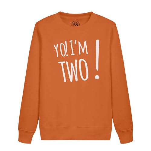 Cadeau anniversaire 2 ans sweatshirt enfant message anglais original